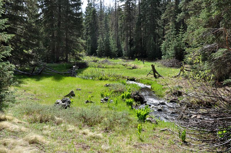 1006120854-Baldy 130.jpg